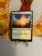 MTG Sunpetal Grove Magic the Gathering Card